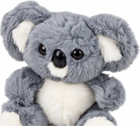 Design adorabile del koala