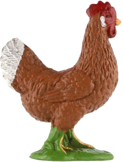 Aspetto dettagliato della gallina
