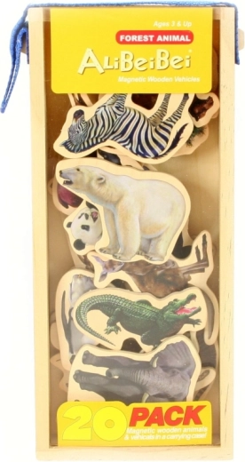 Apprendimento magnetico e gioco creativo