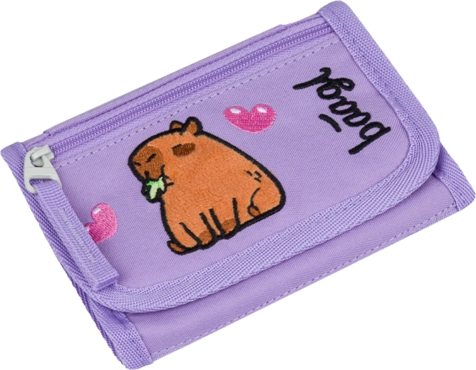 Taschina separata per le monete