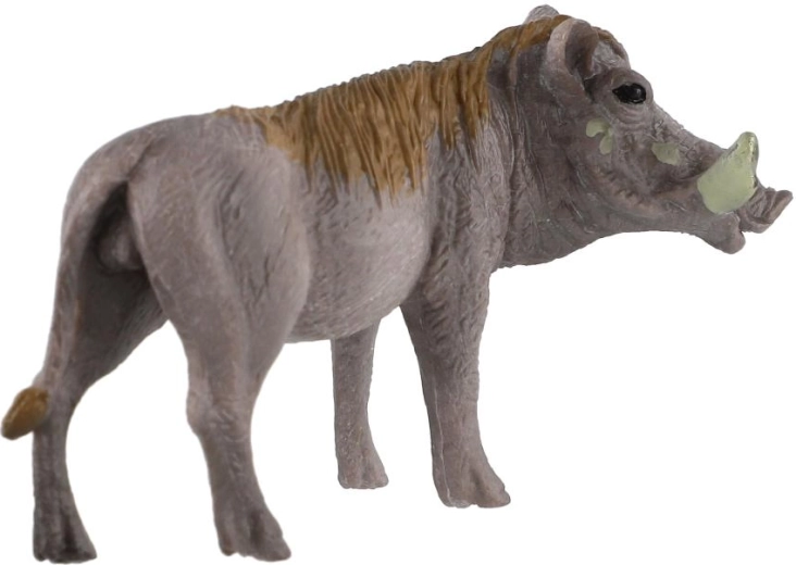 Alla scoperta della fauna africana