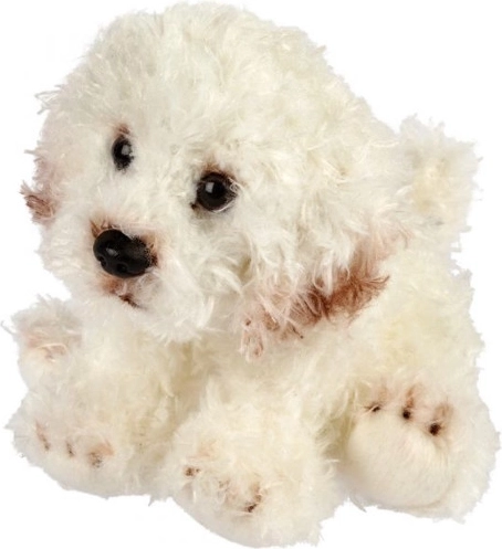 Cane in peluche bichon 13 cm