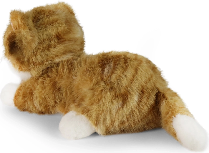 Aspetto realistico del gatto