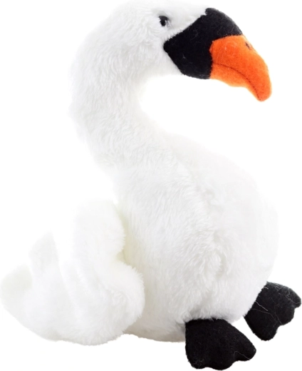 Dimensioni compatte per le manine