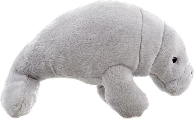 Design adorabile per la cameretta