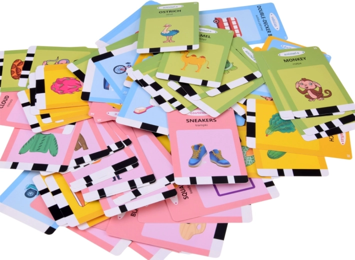 224 carte tematiche con illustrazioni ben visibili