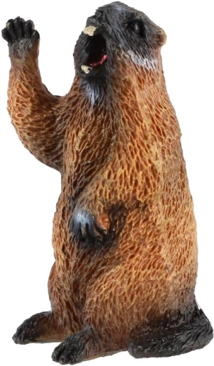 Motivo realistico della marmotta