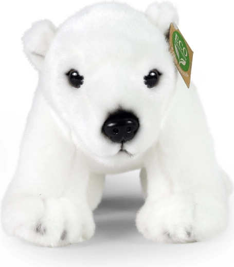 Orso polare realistico