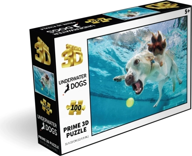 100 pezzi per un divertimento intelligente