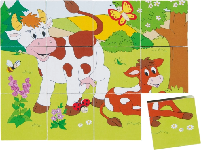 Cubetti illustrati Animali nelle stagioni