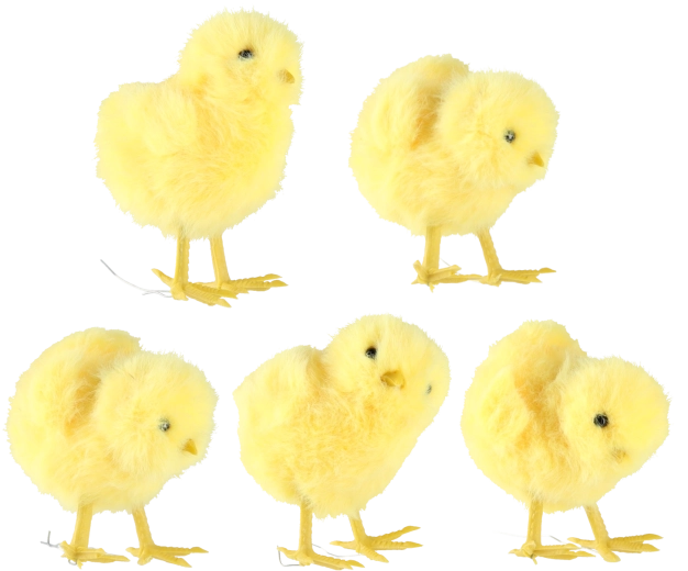 Set di 10 pezzi in 5 design