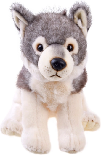 Dimensioni pratiche per casa e viaggio