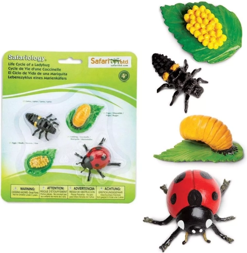 Safari Ltd. ciclo vitale della coccinella – set di 4 miniature