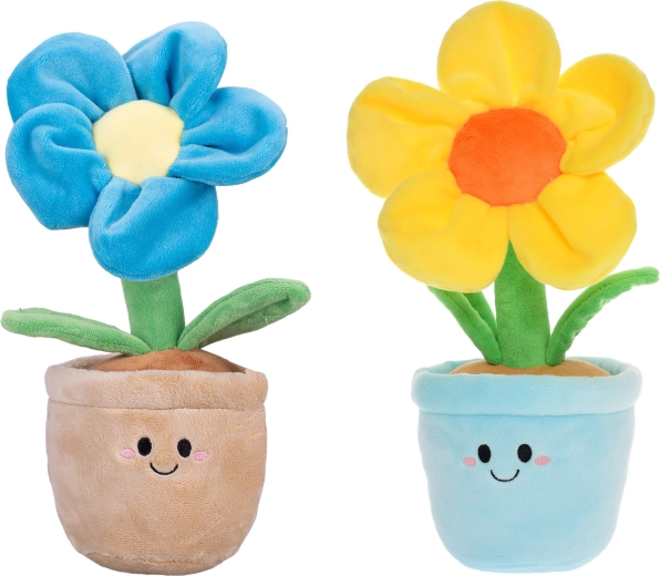 Colori allegri e design adorabile