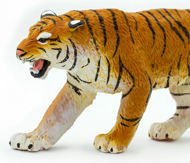 Imparare giocando sulla natura e la protezione degli animali