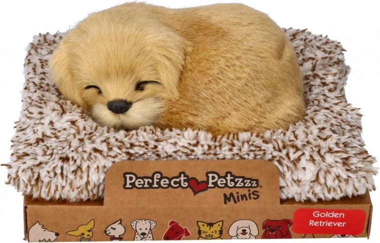 Golden retriever che abbaia sul suo cuscino