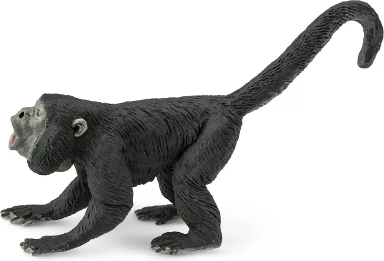 Dimensione ideale per la mano dei bambini e per la collezione