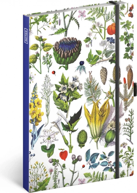 Notes Erbe di Kateřina Winterová, a righe, 13 × 21 cm