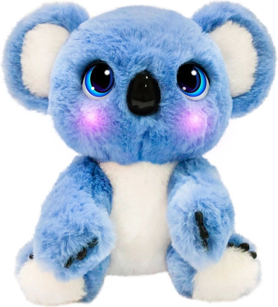 Koala coccolona Eda