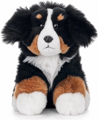 Cane da montagna del Bernese 23 cm