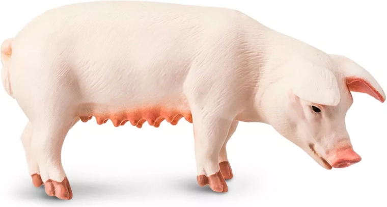 Safari Ltd. statuetta di scrofa - 1 pezzo