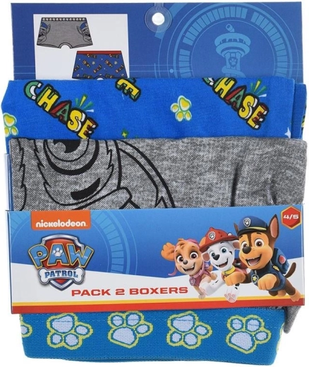 Motivo ufficiale Paw Patrol