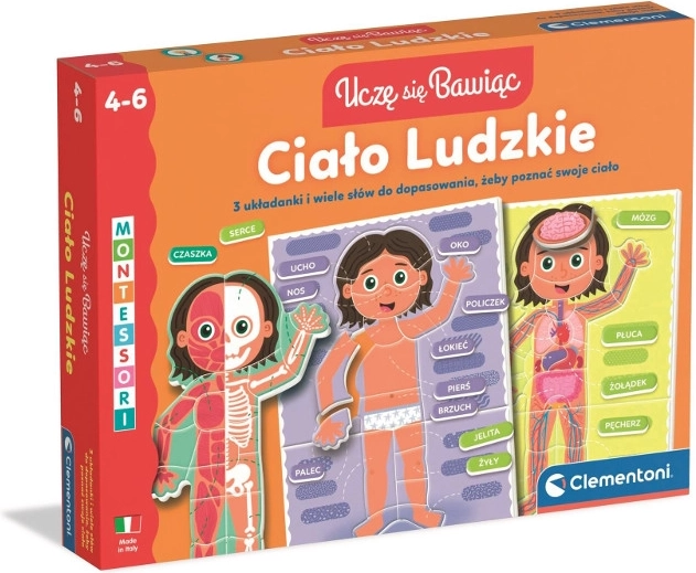 Corpo umano – puzzle educativo per bambini 4–6 anni
