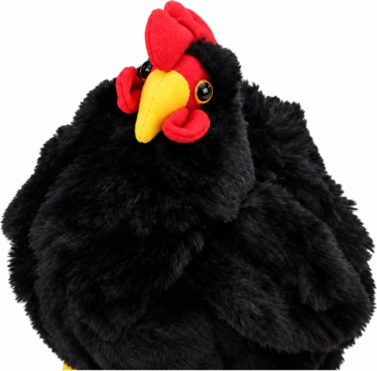 Aspetto allegro della gallina