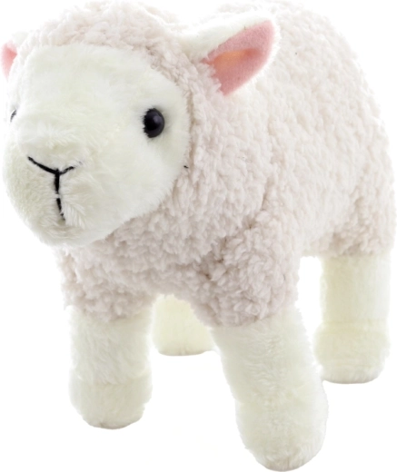 Leggera e compatta per casa e viaggio