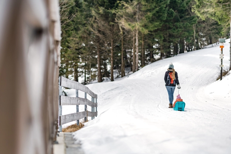 Traino leggero sulla neve