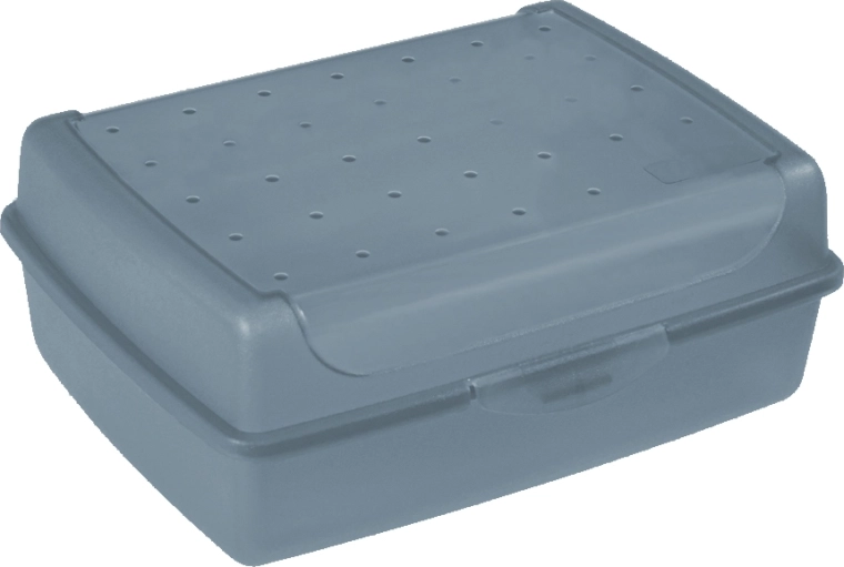 Luca Click Box MIDI contenitore in plastica con coperchio 1 l blu