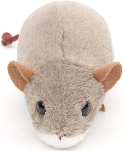 Materiali eco‑friendly