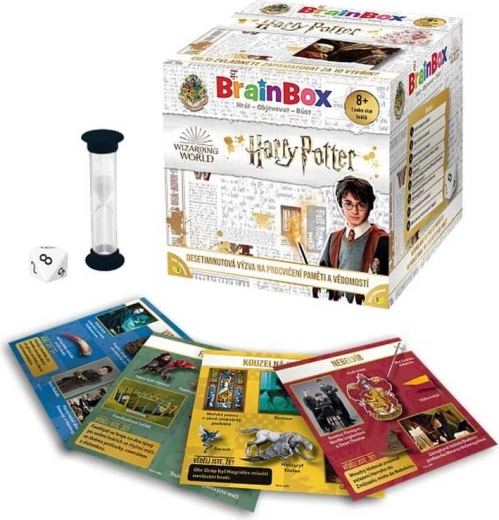 Gioco BrainBox Harry Potter