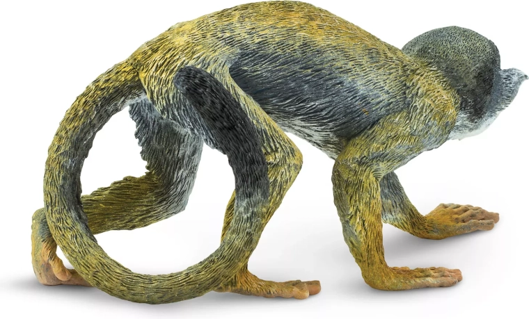 Superficie dettagliata e disegno marcato