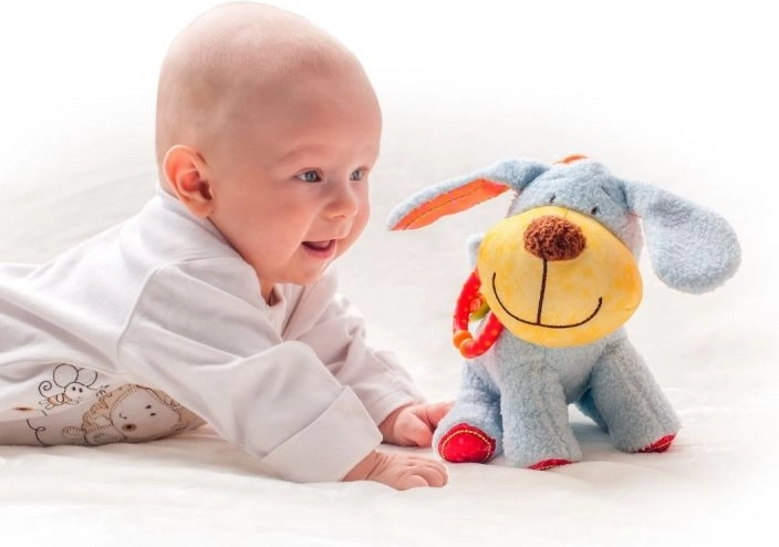 Allegro amico di peluche fin dalla nascita