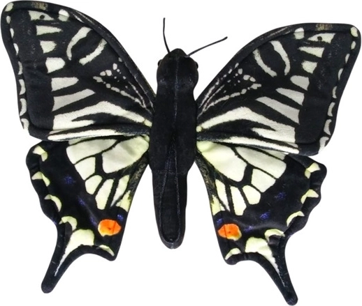 Farfalla macaone (Papilio machaon) 30 cm