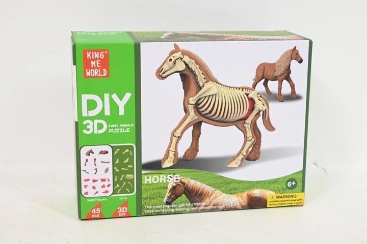 Modello anatomico di cavallo