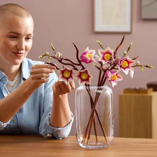 Composizione variabile in vaso