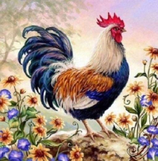 Norimpex Pittura con i numeri Gallo tra i fiori 40 × 50 cm