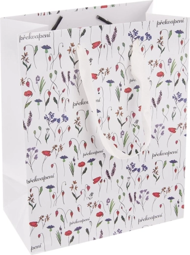 Borsa regalo in carta Sorpresa (CZ) 18 × 10 × 23 cm