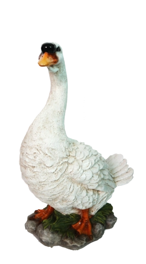 Resina poliresinica resistente