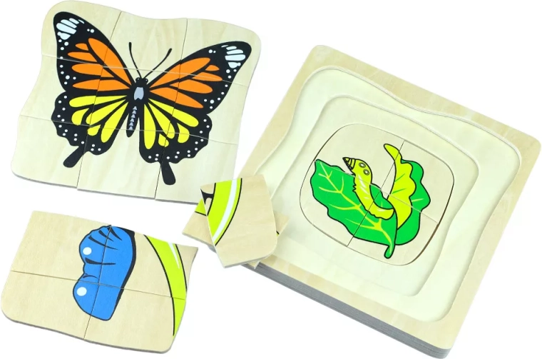 Ciclo vitale della farfalla – puzzle Montessori in legno multistrato