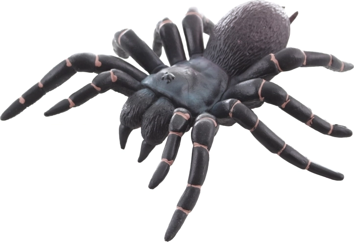 Ideale per apprendimento e decorazione