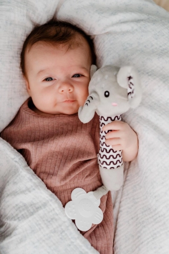 Squittio delicato per lo sviluppo sensoriale