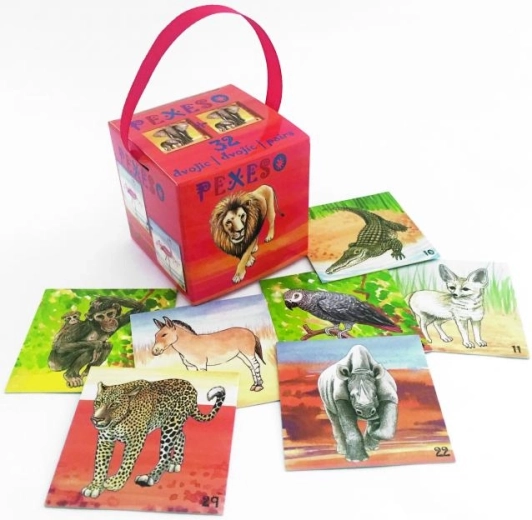 AKIM memory safari in scatola con nastro (64 carte)