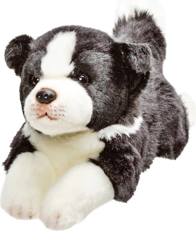 Cane di peluche Border Collie 30 cm