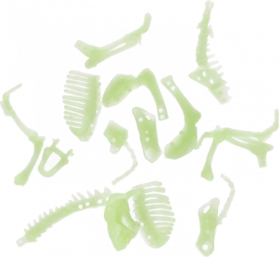 Costruisci il tuo dinosauro