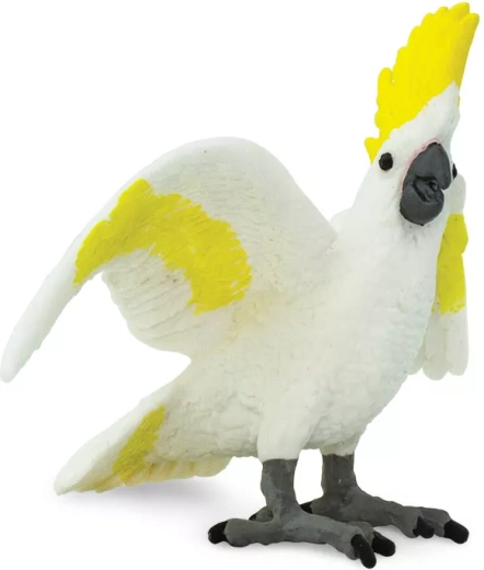 Dettagli realistici della cacatua