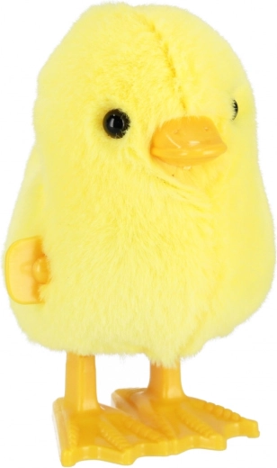 Cammina dopo la carica