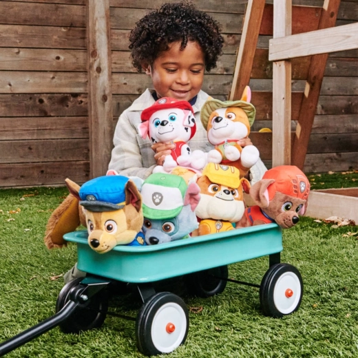Eroina di Paw Patrol